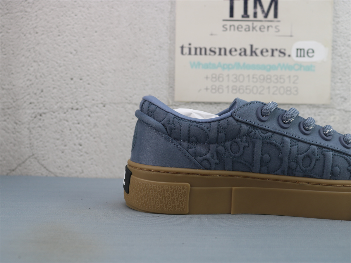 Stone Island X DIOR B33 Skateboard Shoes Men Low-Top Blue